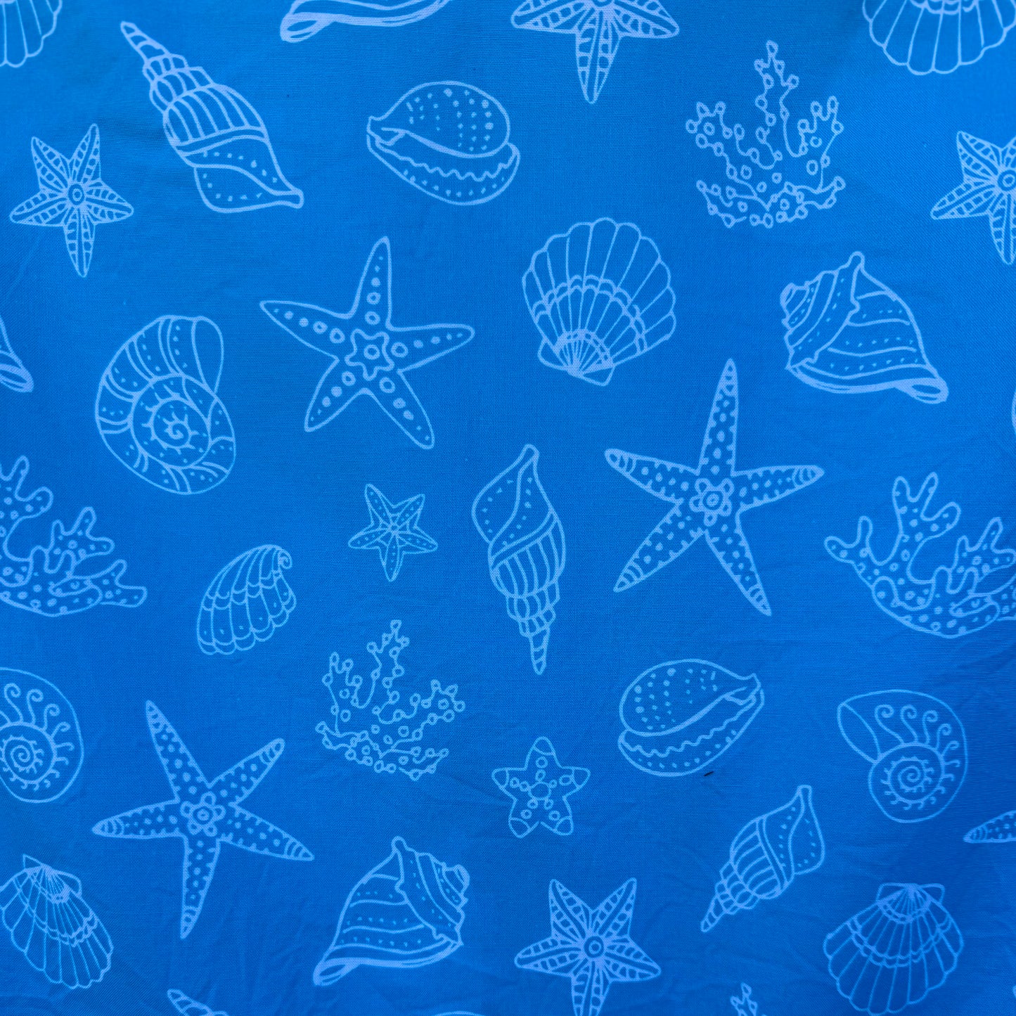Shells Scrub Top 🐚🩵 (S only)