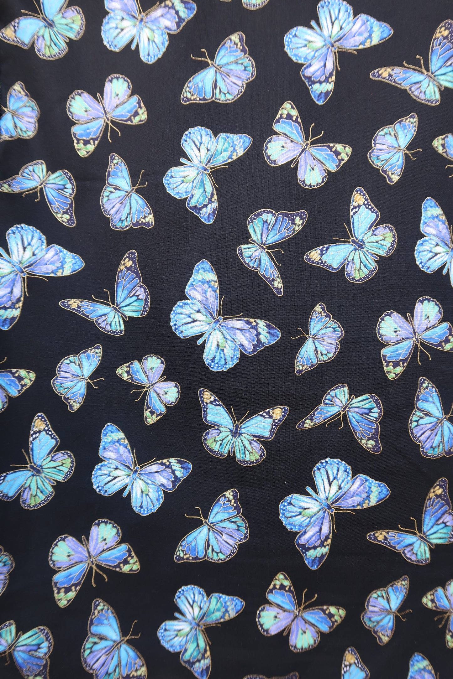 Butterfly Scrub Pant 🦋