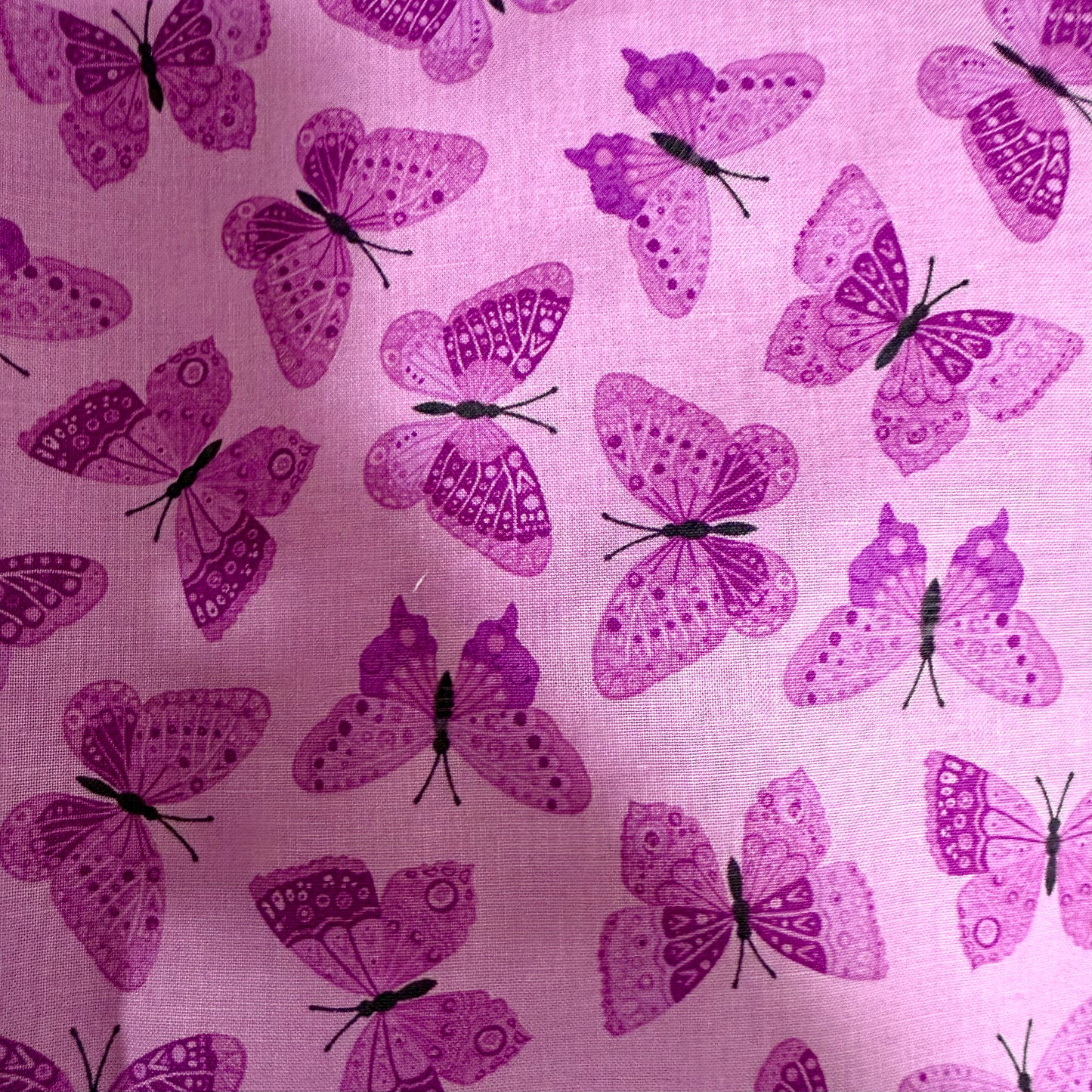 Strength in Lavender scrub *pant* 🦋