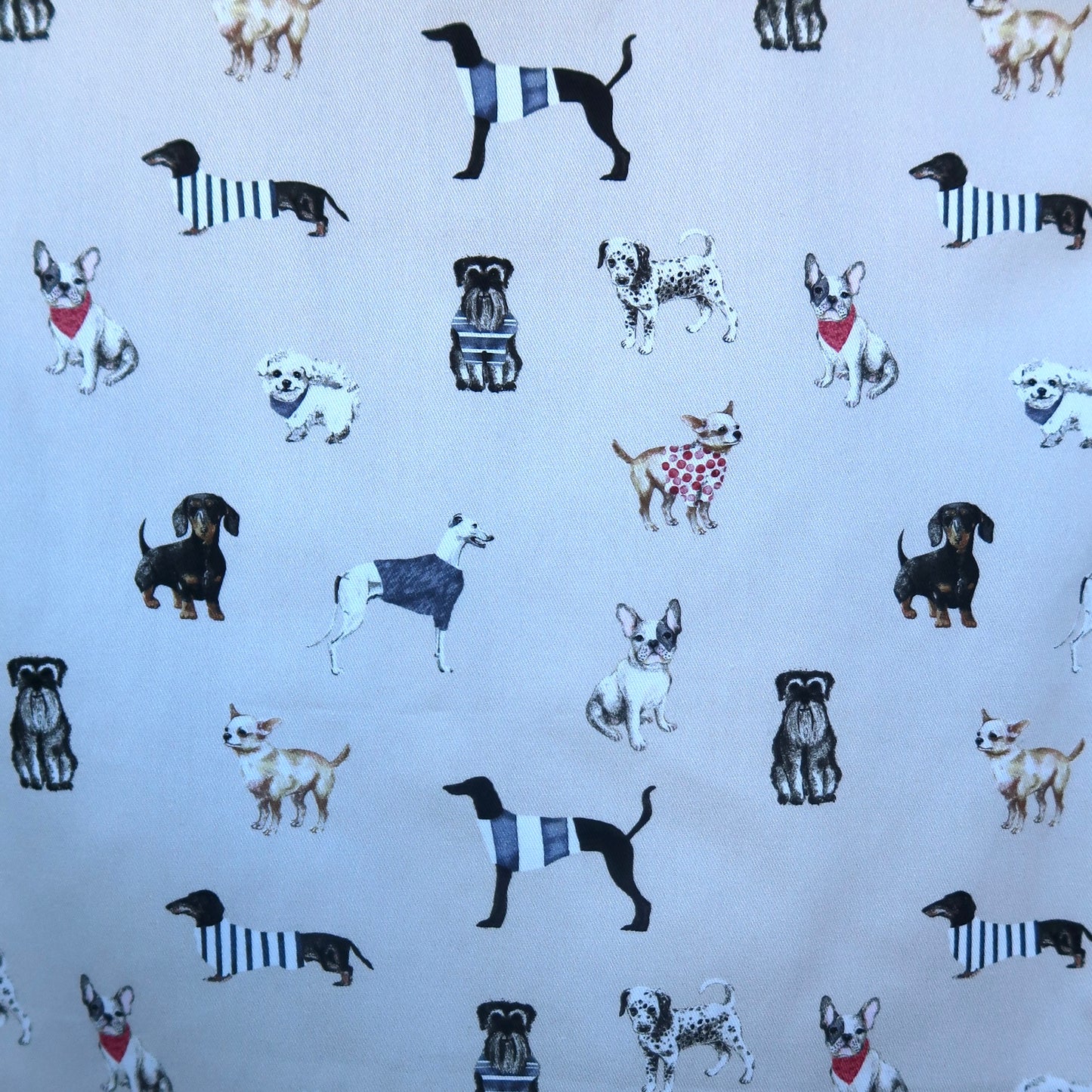 Doggie Scrub Top 🐕🐾