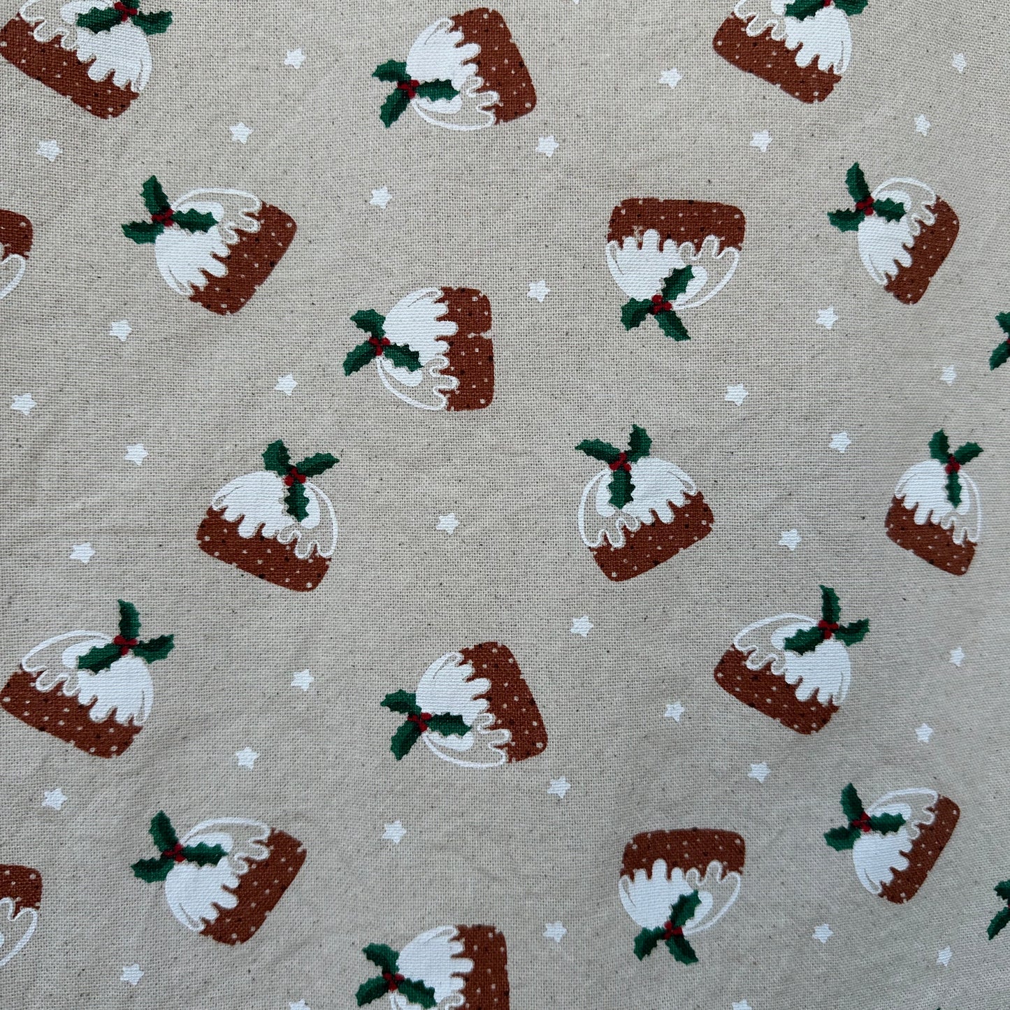 Christmas Pudding Scrub Top 🎄 (XL only)