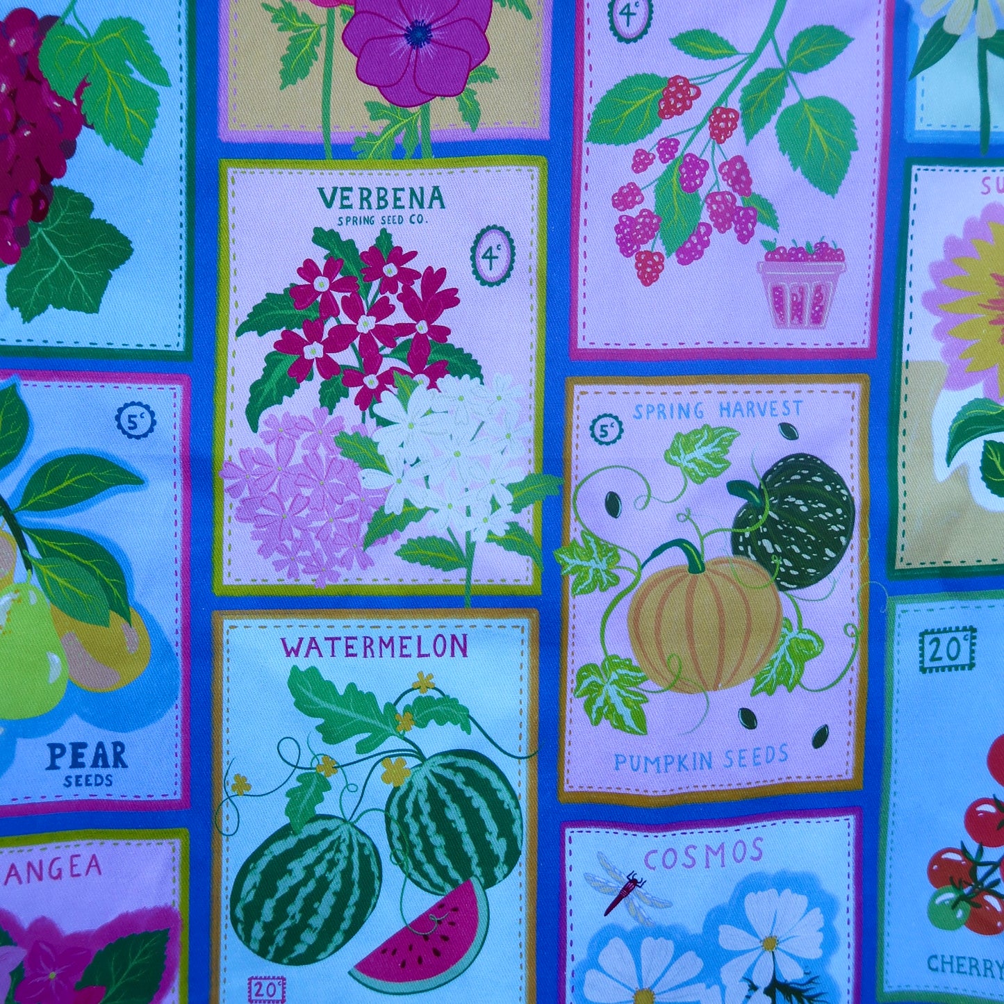 Seed & Bloom Scrub Pant 🌻🍇🍉